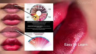 Learn Color & Pigment Theory For Lips