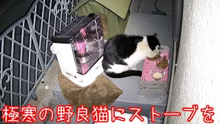 大寒波なので野良猫さんにストーブを用意した