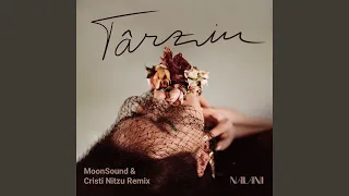 Târziu (MoonSound & Cristi Nitzu Remix)