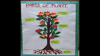 Parts of Plant Model for Students | Easy Model for kids | Science Model