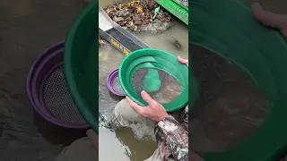 Sluicing and Gold Panning Chunks of Wisconsin GOLD !!⛏⛏☝️☝️☝️