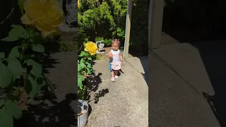 Skyler going to Mommy's work 😊❤️ #youtubebabies #baby #skyler #cutebaby #youtubeshorts #