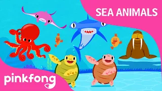 Bergerak Seperti Hewan Laut | Lagu Hewan Laut | Lagu Binatang | Lagu Pinkfong untuk Anak