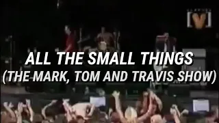 Blink-182 - All The Small Things (The Mark, Tom And Travis Show) / Subtitulado