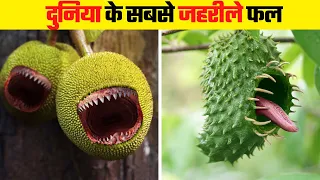 दुनिया के सबसे जहरीले फल | Most Poisonous Fruits in the World