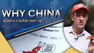 Entrepreneurship in China: Adam's crayfish start-up