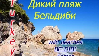 Отдых в Турции! KemerBeldibiwild beachКемер,Бельдиби,дикий пляж. Собаки в Турции