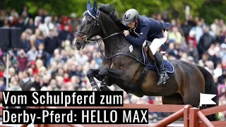 Vom Schulpferd zum Derby-Pferd 😱 | Ein ganz besonderes Pferd! | Gilbert Tillmann's Hello Max