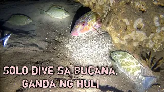 Night Spearfishing Philippines solo dive sa Bucana, ganda ng huli