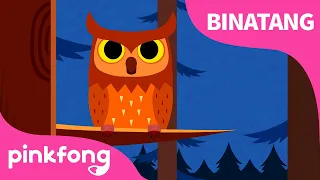 Suara Binatang | Lagu Binatang & Hewan | Lagu Anak Bahasa Indonesia | Pinkfong dan Baby Shark