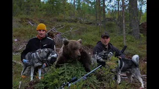 WTPHC - Bear hunting - Karhujahti - 24.8.2021 Kuusamo