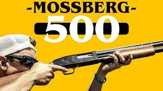 This Gun Started My Career | Mossberg 500 12ga Pump Shotgun Review