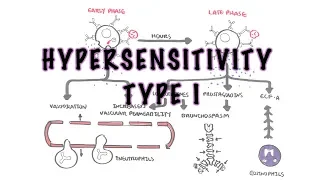 Hypersensitivity Type I reaction (Immediate or allergic reaction) - pathophysiology