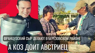 Французский сыр делают в Берёзовском районе. А коз доит австриец