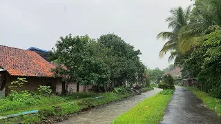 Rain  in my village by the river||Rainy atmosphere of Indonesian countryside||Indonesia