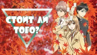 Обзор — Яркая Чихая (3 сезон Chihayafuru)