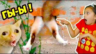 КОТЫ ЛЕТУНЫ! ЛУЧШИЙ НЕ ЗАСМЕЙСЯ ЧЕЛЛЕНДЖ с КОТАМИ ПРЫГ! Funny Cats Попробуй не засмеяться Валеришка