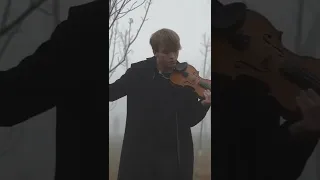 Zotov - violin