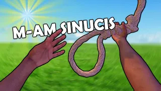 M-AM SINUCIS