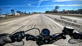 Harley Davidson Sportster 48 | Pure Engine Sound | Cobra Speedster 909 Exhaust