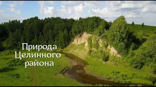 Природа Целинного района