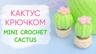 Цветущий кактус крючком | Crochet Cactus Free Pattern