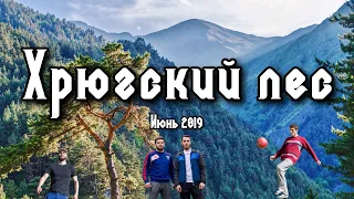 Поход в Хрюгский лес - Июнь 2019 (Влог #5)