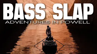 Bass Slap | Fly fishing for bass in Lake Powell