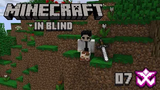 Il Diario - Minecraft in Blind #07 w/ Cydonia