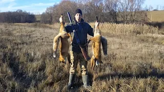 Загонная охота на лису