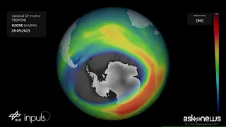 NEWS - Il buco dell'ozono mette in pericolo foche e pinguini