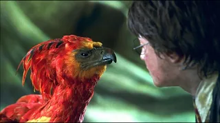 Harry Potter Soundtrack - Fawkes the Phoenix Theme