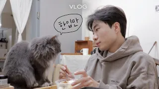 vlog, cute cat and human daily life 🐈