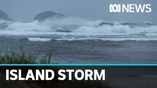 Boat capsized, 25m trees down as ex-Cyclone Uesi smashes Lord Howe Island | ABC News