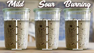 Mastering Your Sourdough Starter - A deep dive into Flavor and Acidity