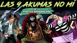 Las 9 Akumas no mi CONOCIDAS del crew de BARBANEGRA🕳| One Piece