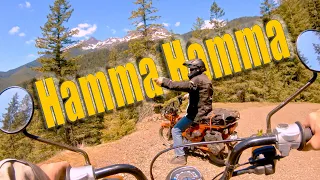 Hamma Hamma Backcountry ADV RIde | Honda Trail CT125 CT110