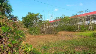 Clean up the overgrown grass in the abandoned school for many years (part 7)