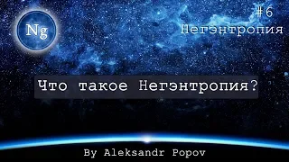 #6 Что такое Негэнтропия?