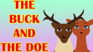 The Buck and The Doe - Short Moral Stories for Kids