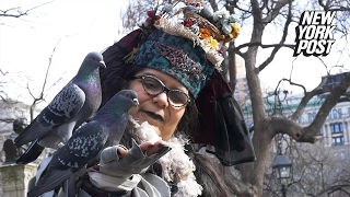 A New York gem: this woman is "mother" to hundreds of pigeons | New York Post