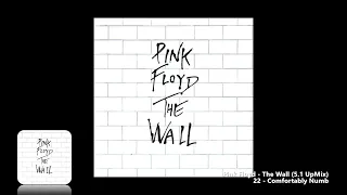 Pink Floyd - 22 - Comfortably Numb (5.1 UpMix)