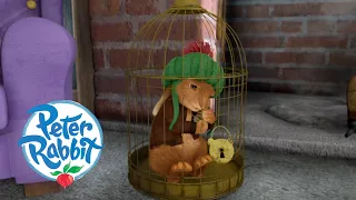 @OfficialPeterRabbit - Benjamin is Captured! | Cartoons for Kids | Mr Tod