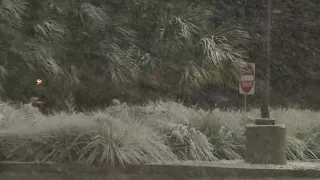 Excitement over snow in Galveston