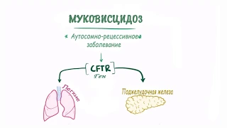 Муковисцидоз - причины, симптомы, диагностика, лечение и патология.