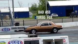 BAD ASS TURBO FOX | Epic Burnout and Solo 1/4 Mile