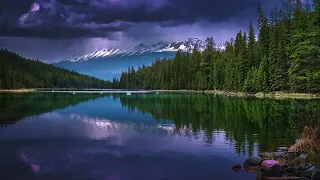 10 Hours of Peaceful Lake Sounds at Night Frogs Crickets Owls Nature Sounds Relaxing Sleep ASMR zen