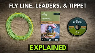 How To Choose the Right Fly Line, Leader, and Tippet for Beginners | Module 4, Section 1