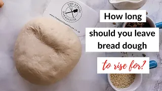 How long should you leave bread dough to rise for?