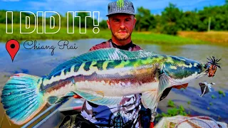 GIANT SNAKEHEAD FISHING IN NORTHERNMOST PART OF THAILAND!!! #giantsnakehead #topwater #snakehead